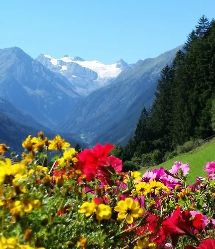 Haus Gletscherblick Apartmán *