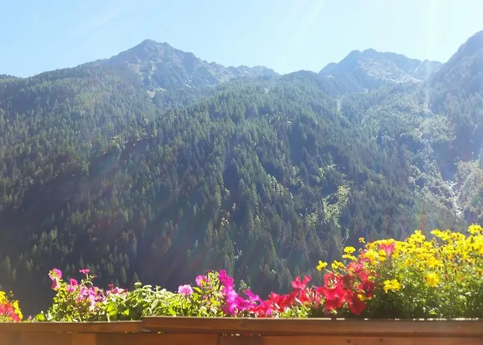 Appartement Haus Gletscherblick *